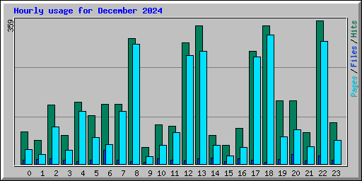 Hourly usage for December 2024