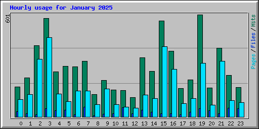 Hourly usage for January 2025