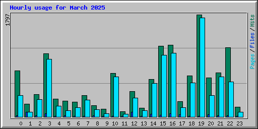 Hourly usage for March 2025
